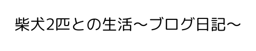 柴犬2匹との生活～ブログ日記～